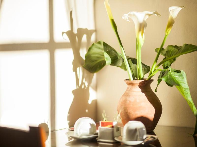 Triple Room Hotel San Agustín Monasterio de la Recoleta Urubamba Triple Room Hotel San Agustín Monasterio de la Recoleta Urubamba